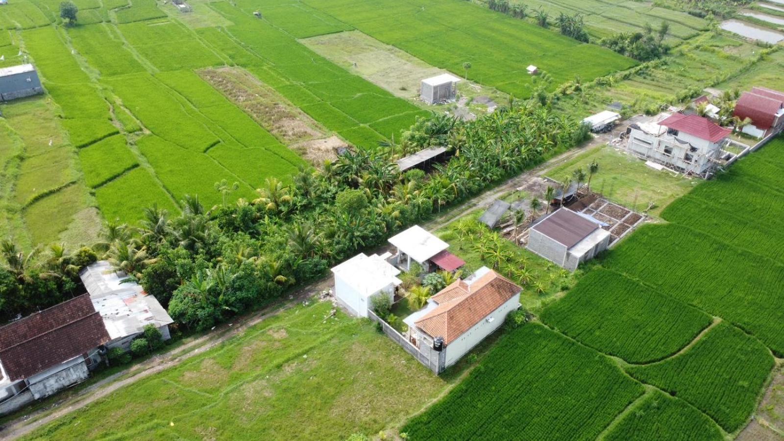 Sumbul View Surfcamp Hotell Airsatang Exteriör bild